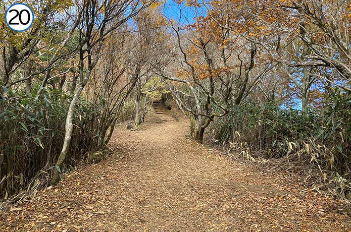 金時神社登山口合流~金時山 平坦な道
