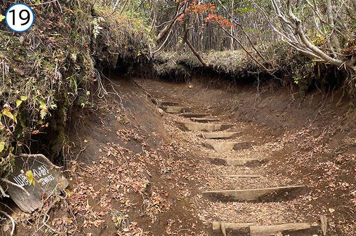 金時神社登山口合流地点~金時山 登山道