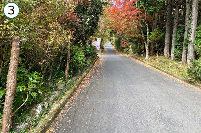 金時登山口バス停~金時登山口までの舗装路