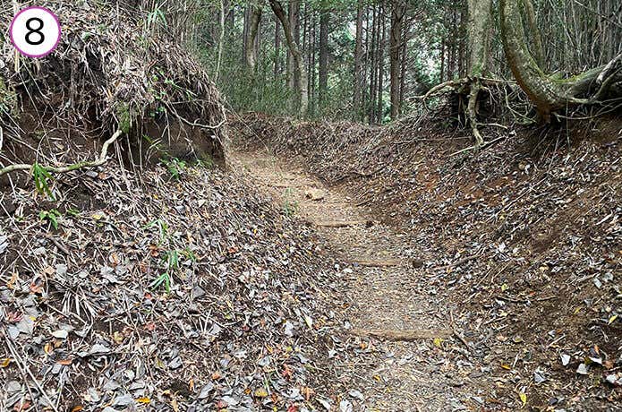 金時登山口からの登山道