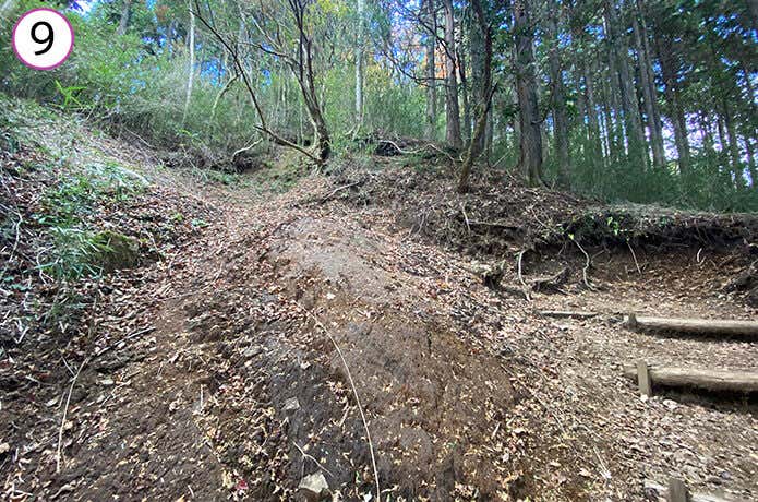 金時登山口 登山道