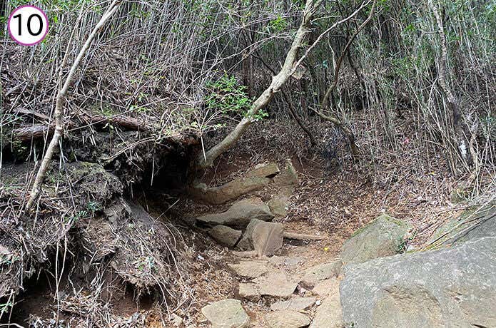 金時登山口 登山道
