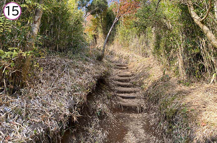 矢倉沢峠~金時神社登山分岐合流の登山道