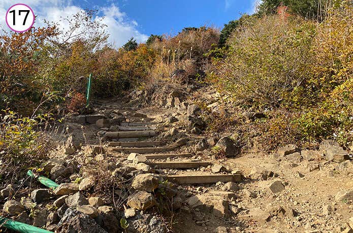 矢倉沢峠~金時神社登山口合流の登山道 石が転がっている道