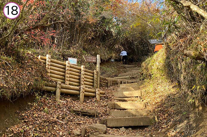 金時神社登山口との合流地点