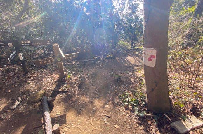 鋸山の山頂への道