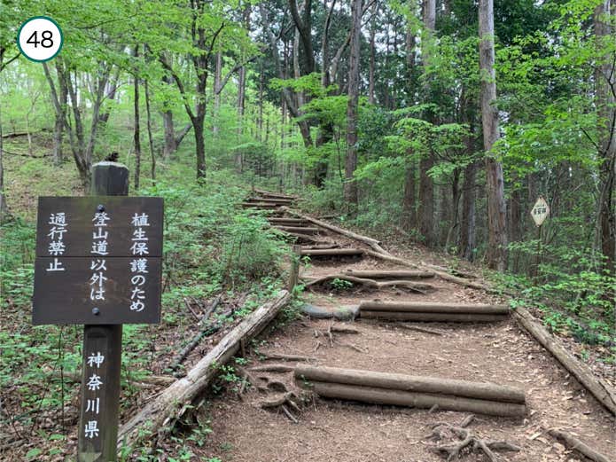山頂直下の階段