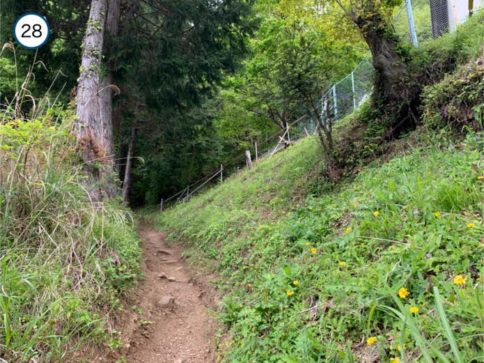 登山道に変わる