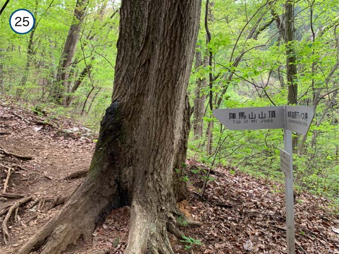 陣馬山への道標