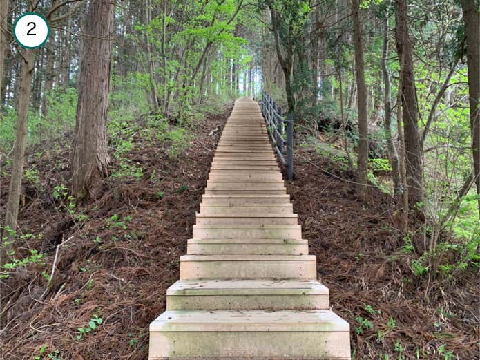 階段から始まる登山道