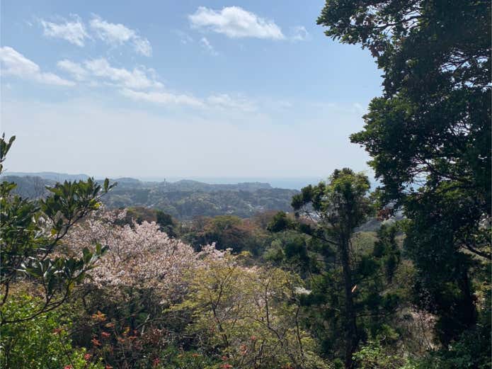 十王岩からの眺望