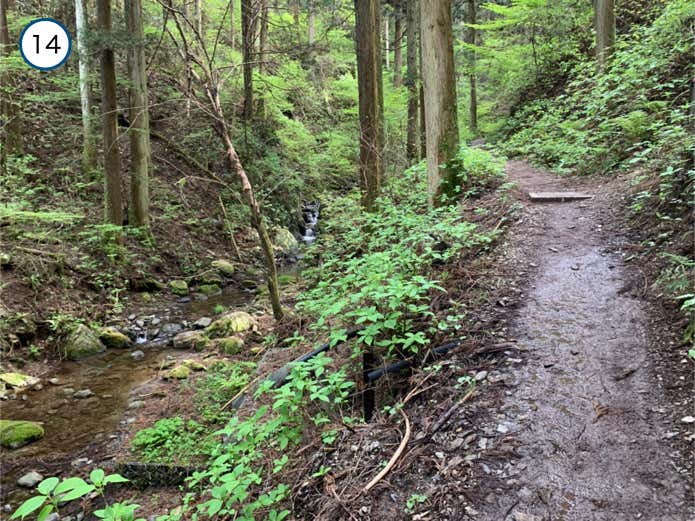 沢沿いの登山道