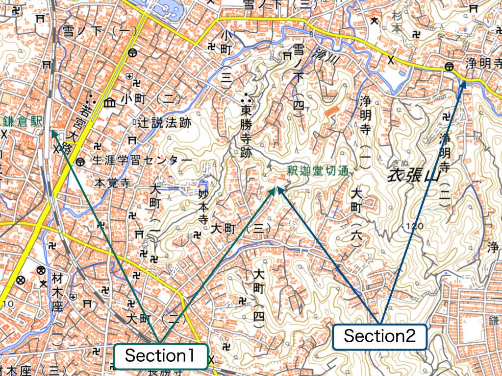 今回のコース