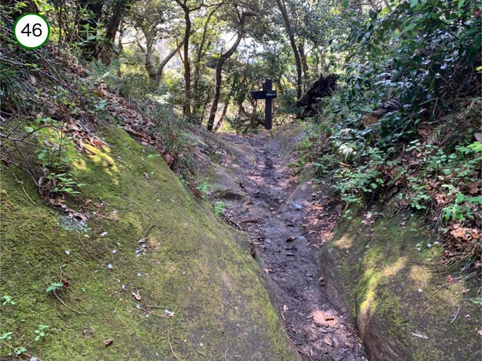 苔むした岩肌を登る