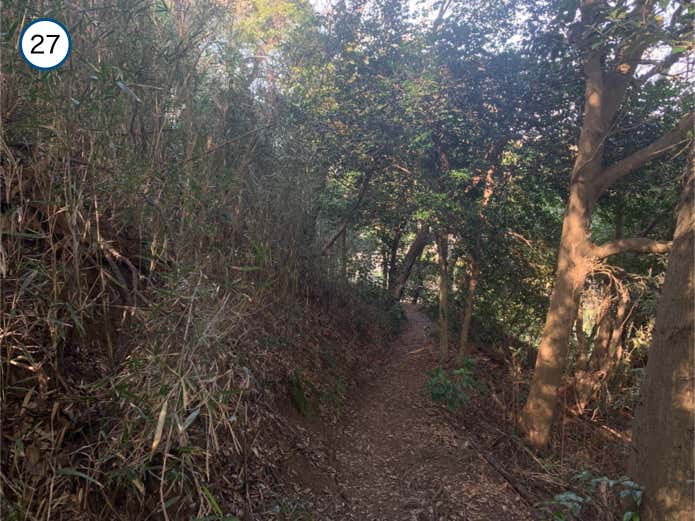 衣張山からの下り