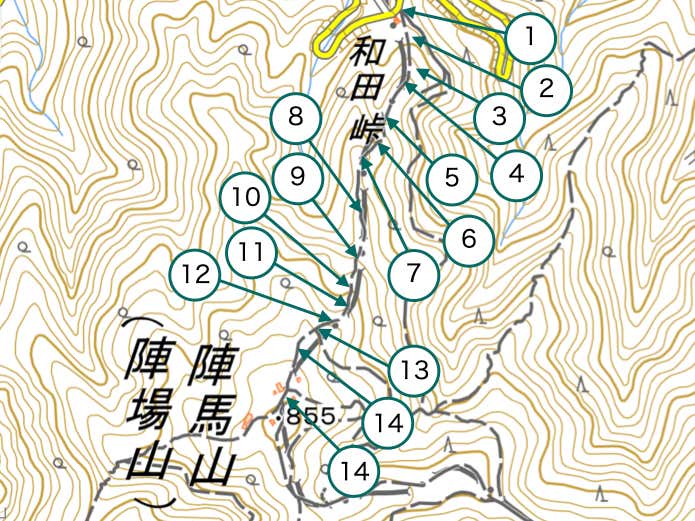 今回のコース