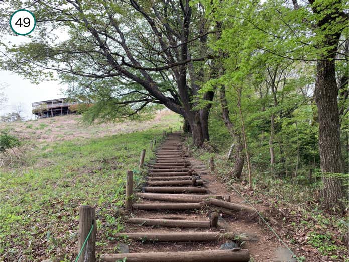 清水茶屋が見えてくる