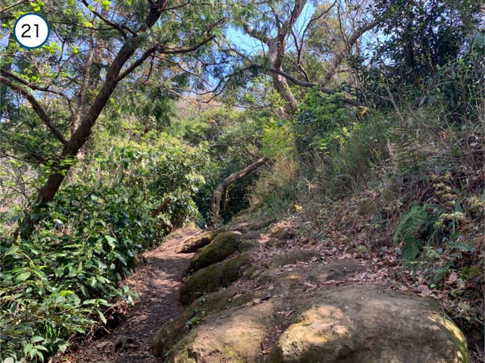 露出した岩肌
