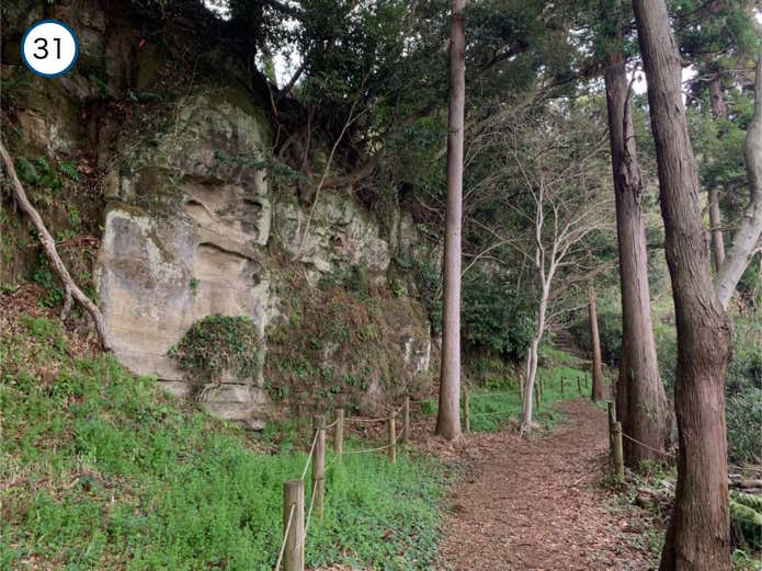 森の中へ続くお猿畠の大切岸