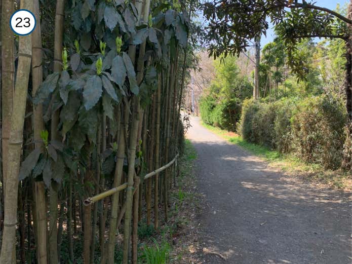 未舗装路に変わる場所