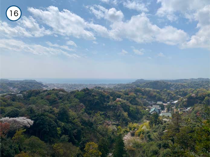 勝上献展望台