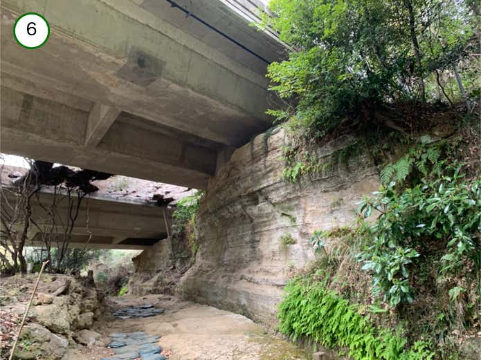 横浜横須賀道路をくぐる