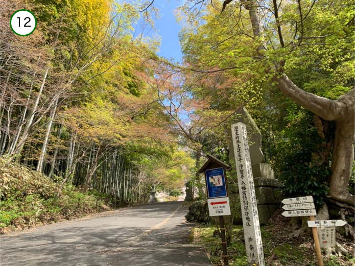 半僧坊への道