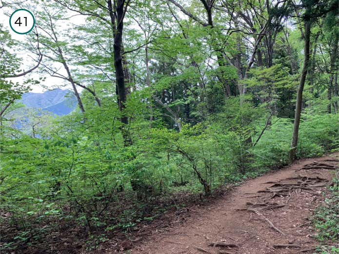 連行峰の眺望