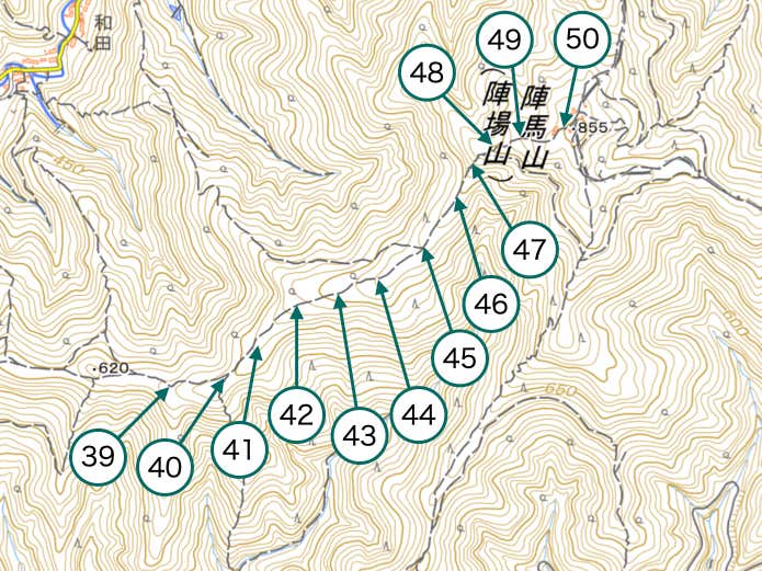 Section3