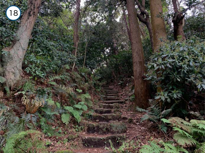 名越切通し分岐へ向かう階段