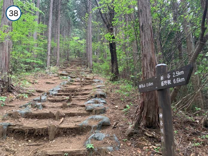 階段を登る