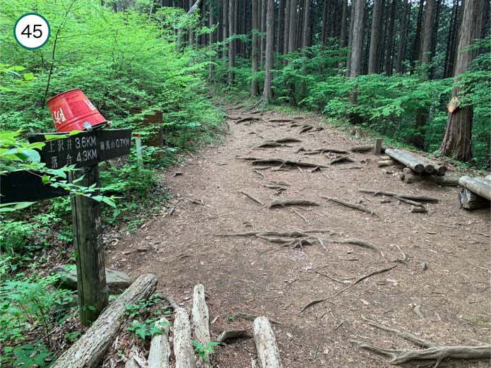 和田尾根分岐