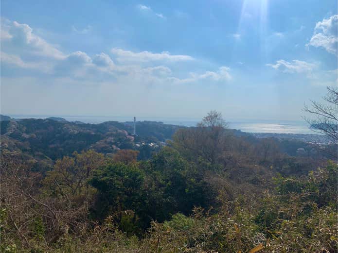 浅間山からの眺望