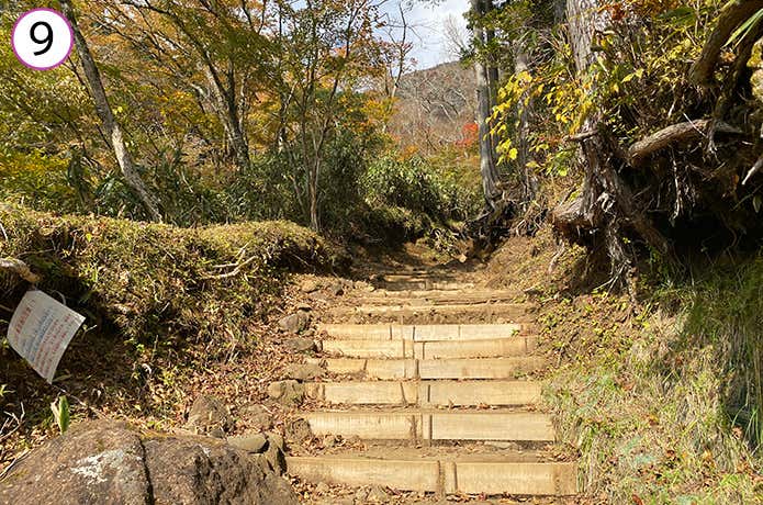 舗装路を渡ったときの階段