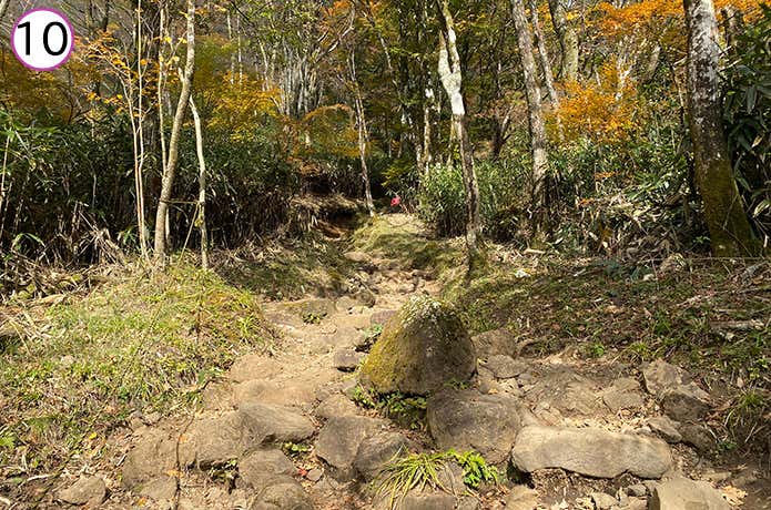 金時神社登山口 登山道