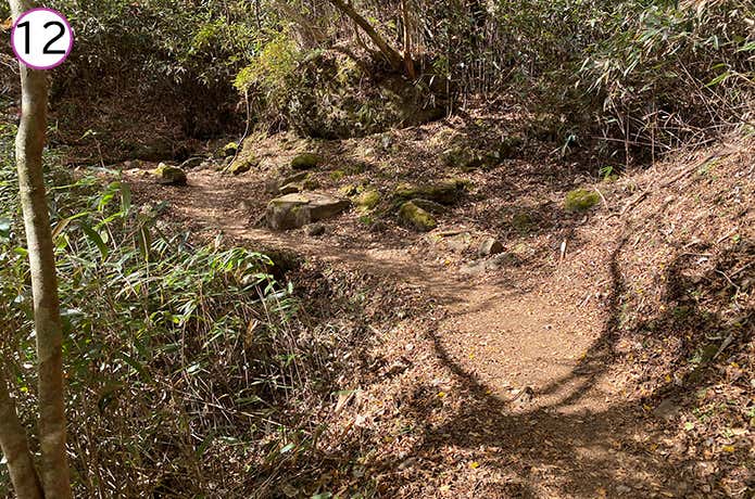 金時神社登山口 登山道のカーブ