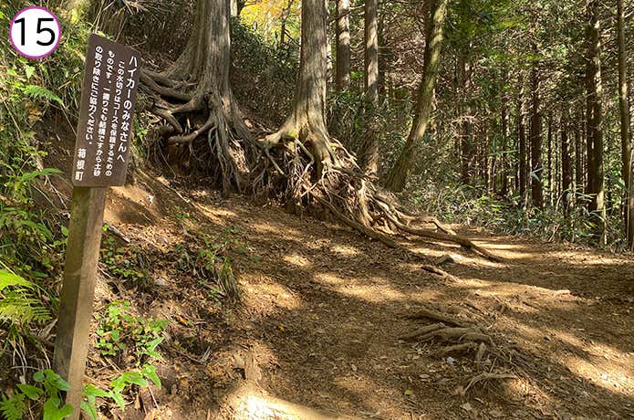 金時神社登山口 登山道