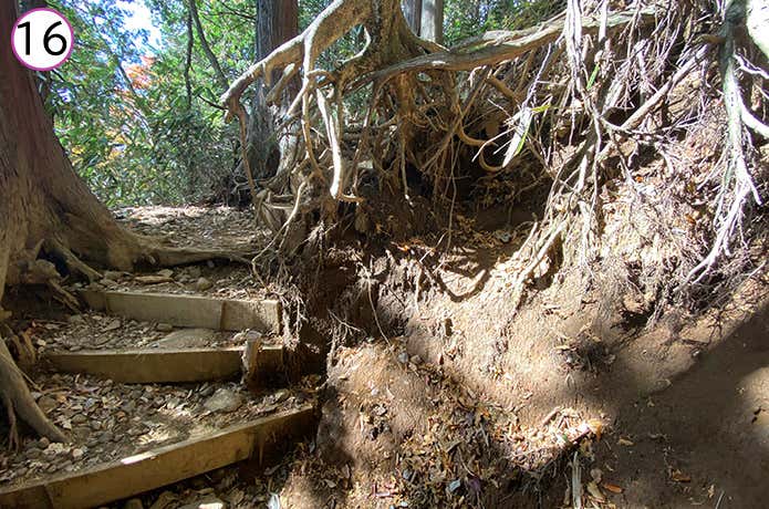 金時神社登山口 登山道