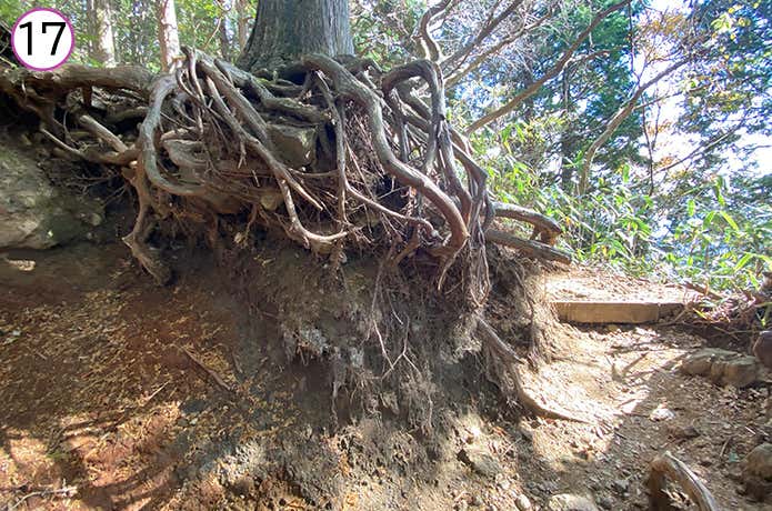 金時神社登山口 登山道
