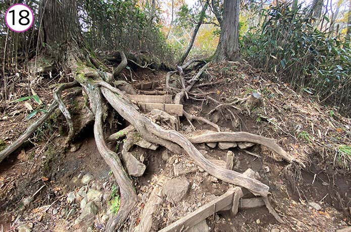金時神社登山口 登山道