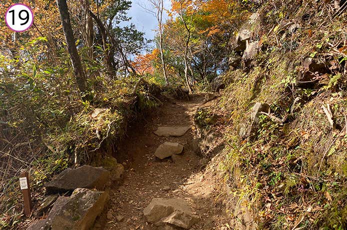 金時神社登山口 傾斜がゆるやかになる登山道