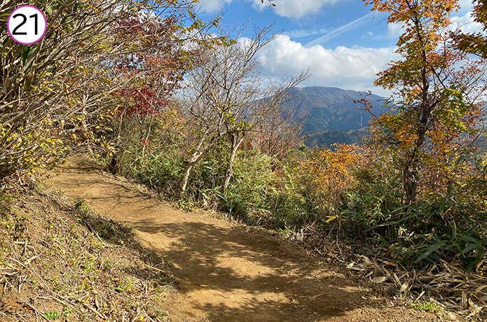 金時神社登山口 ビューポイント