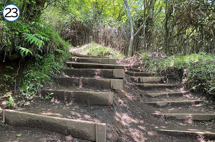 金時登山口との合流地点~金時山 登山道