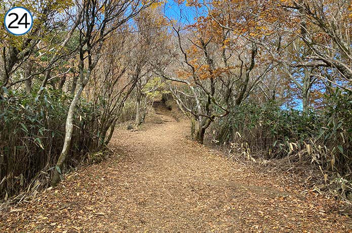 金時登山口との合流地点~金時山 平坦な登山道