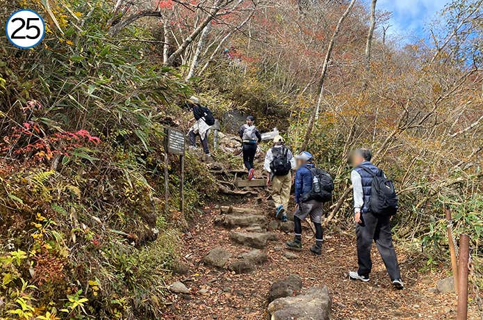 金時登山口との合流地点~金時山 登山道