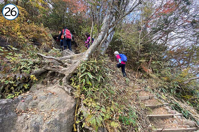 金時登山口との合流地点~金時山 傾斜が上がった登山道
