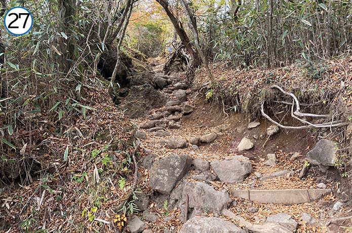金時登山口との合流地点~金時山 登山道