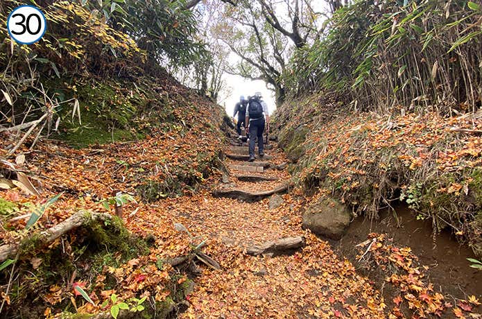 金時登山口との合流地点~金時山 山頂間近の道