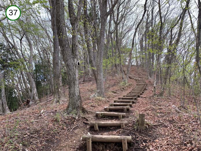 連行峰への登り返し