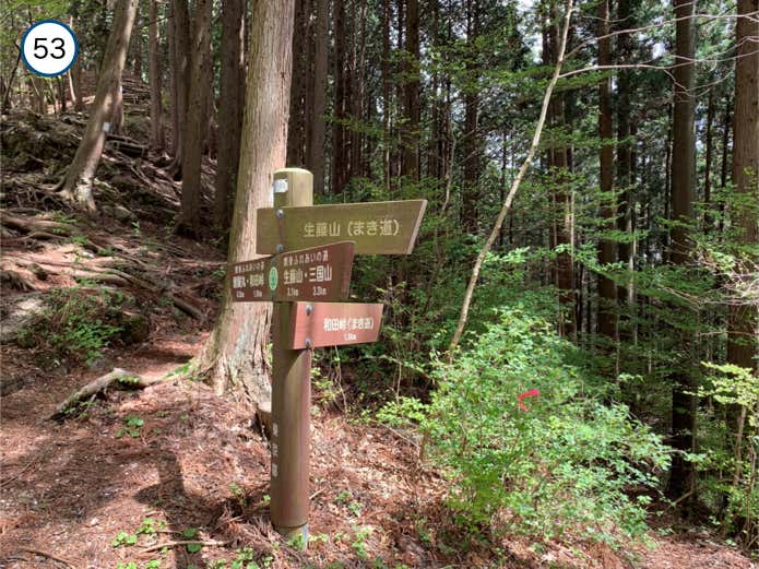 醍醐丸の巻道分岐